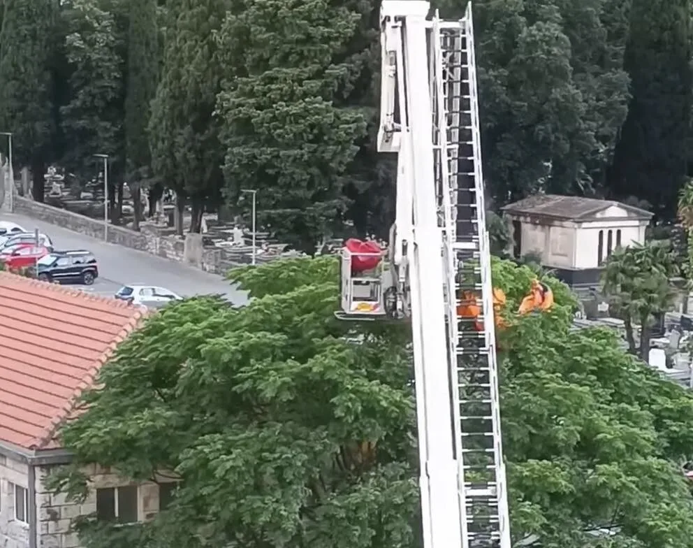 Paraglajder završio u krošnjama drveća u Škaljarima, vatrogasci ga uspješno spasili 4 Paraglajder završio u krošnjama drveća u Škaljarima, vatrogasci ga uspješno spasili