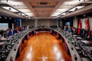 Vlada imenovala Tihomira Adžića za državanog sekretara u Ministarstvu energetike i rudarstva